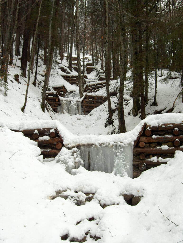 Mélèze Montagne