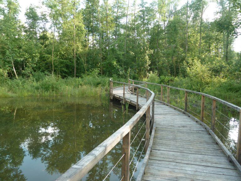 Platelage bois Le Vaudreuil