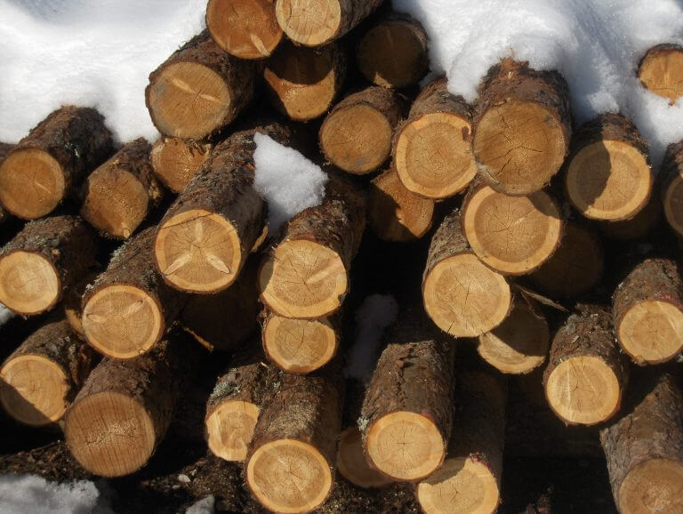 Achat/Vente de Rondins de bois bruts - Dynamique Environnement