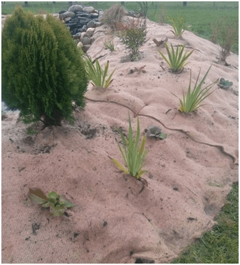 Paillage Bâche Naturelle