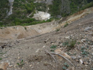 sainte colombe végétalisation hydroseeding